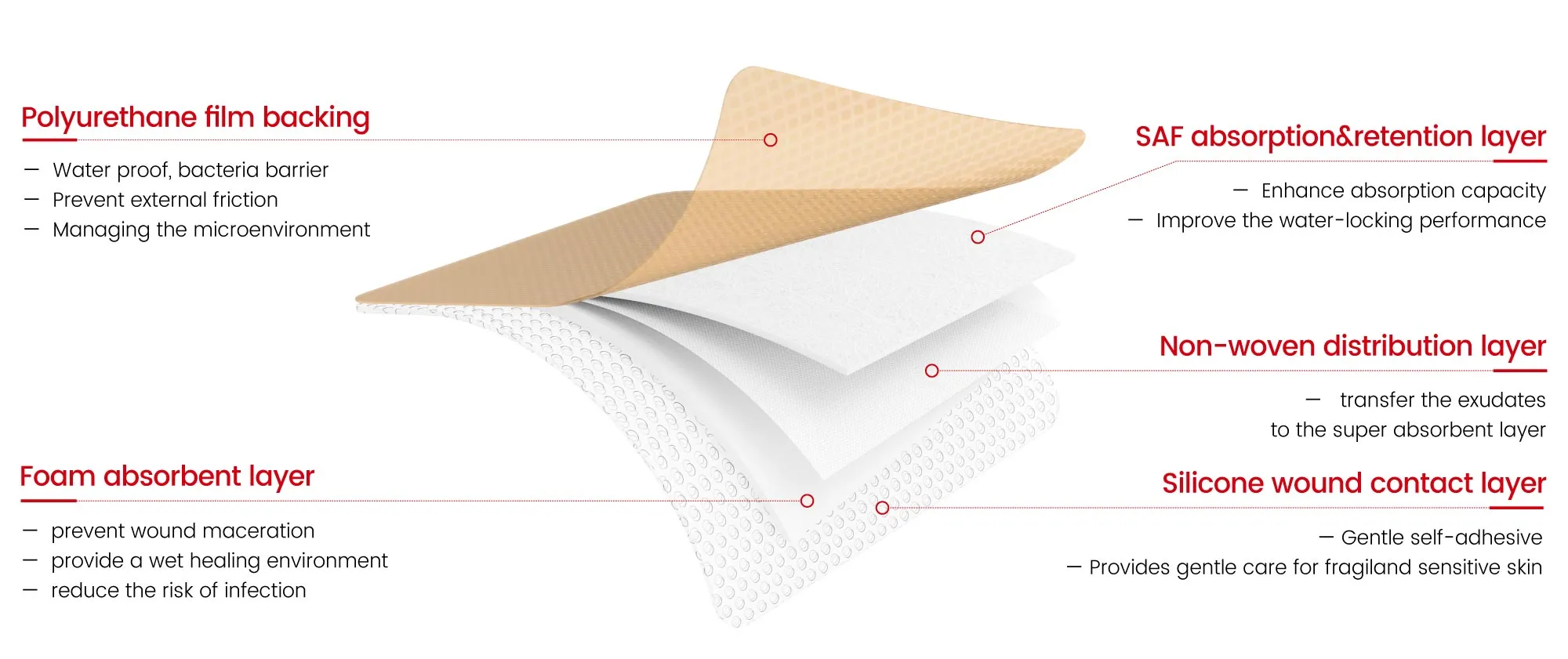 Structure Display Diagram of Silicone Foam Dressing with Border-Skin Color
