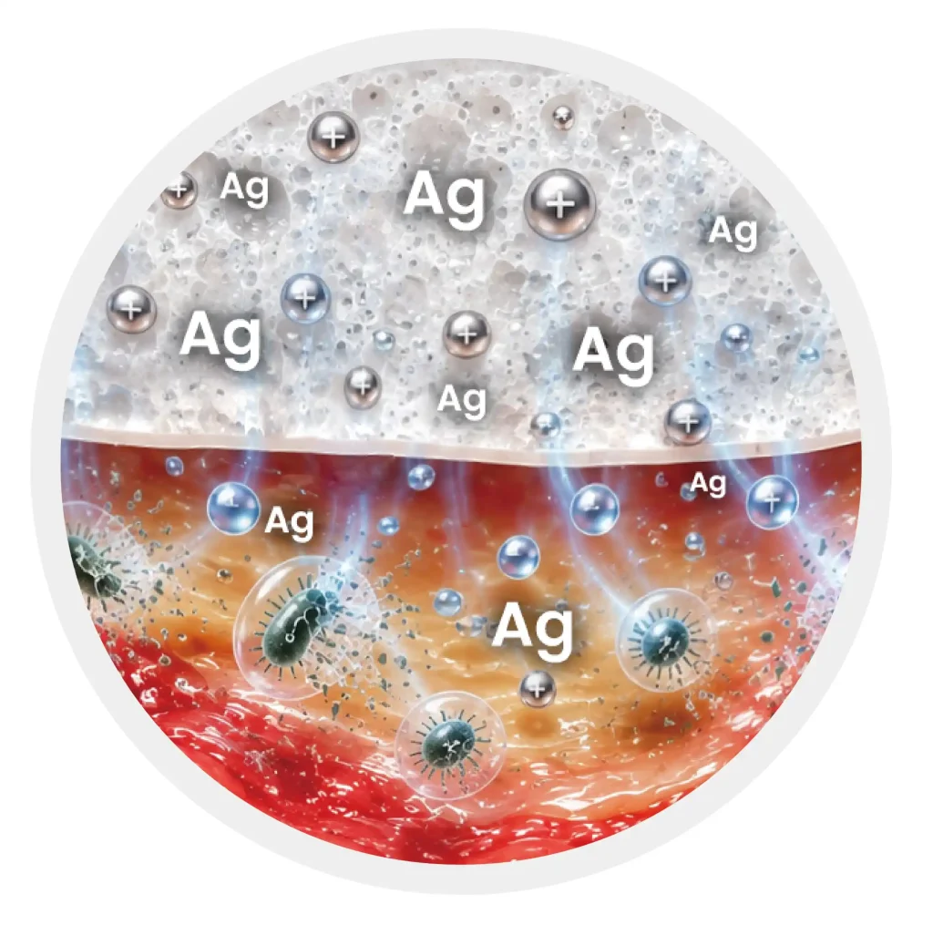 Functional Schematic of Silver Ions in Wound Dressings