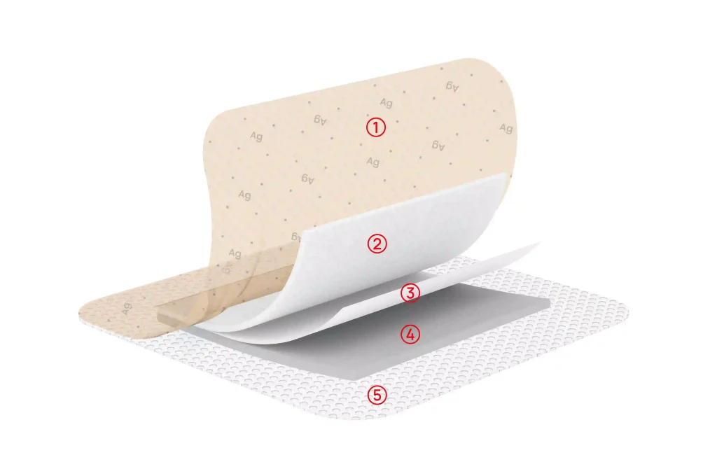Structure Display Diagram of Silicone Foam Ag Dressing with Border