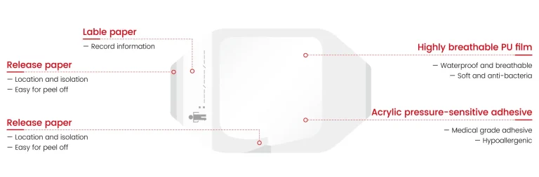 Structure Display Diagram of Transparent Dressing