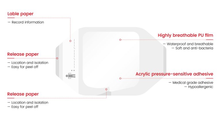 Understanding Medical Standards for Transparent Wound Dressing