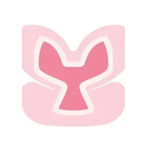 Silicone Foam Dressing Composite Type – Pink Color