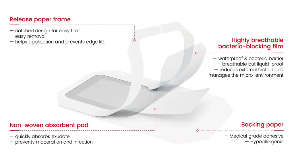 Structure Display of Transparent Dressing with Pad