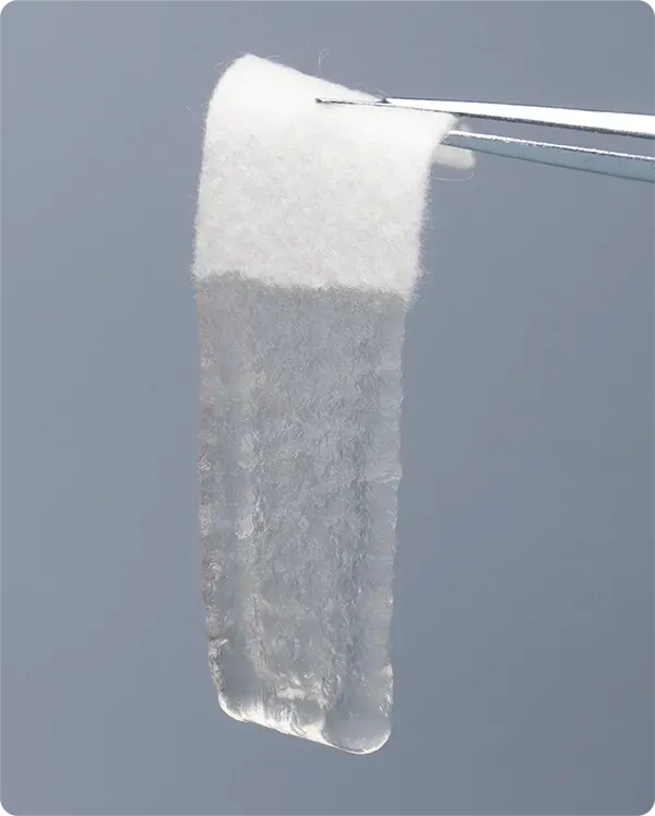 Gelling Fiber Dressing
