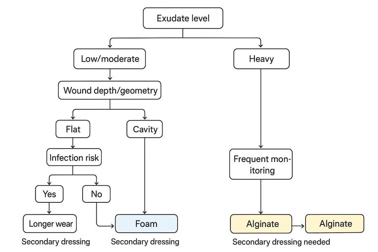 Cover banner contrasting foam vs alginate dressings for wound care procurement